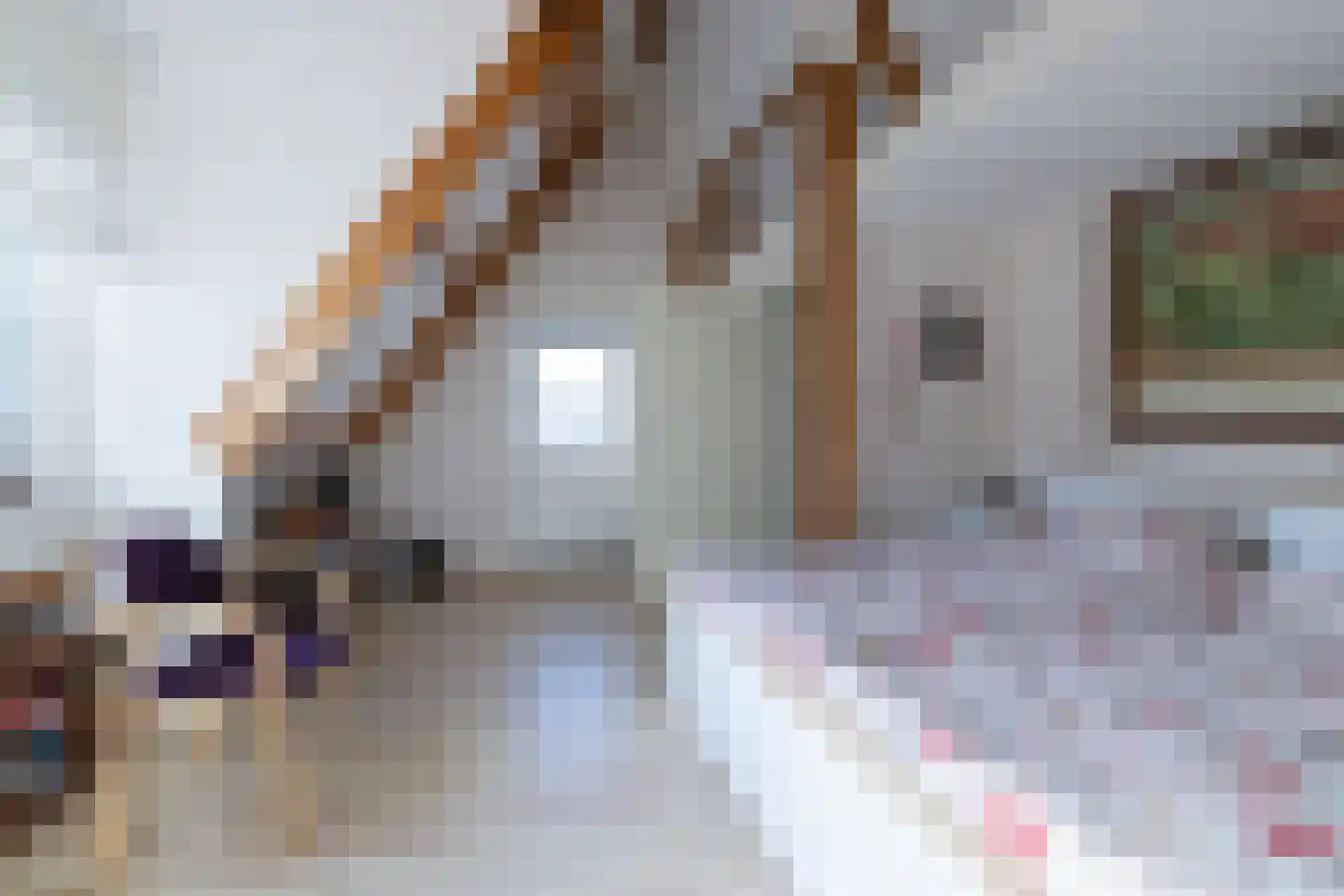 Symfoniestraat 24 Almere thumbnail 35