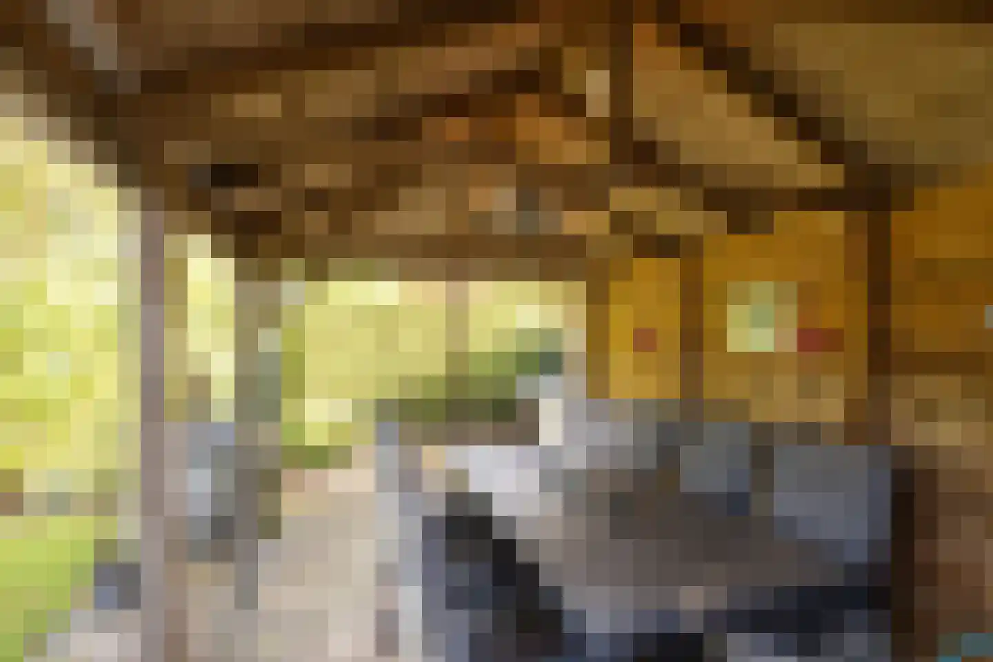 Symfoniestraat 24 Almere thumbnail 47