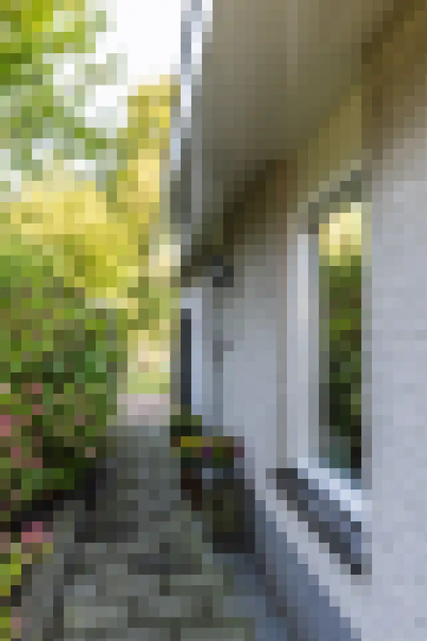 Symfoniestraat 24 Almere thumbnail 9