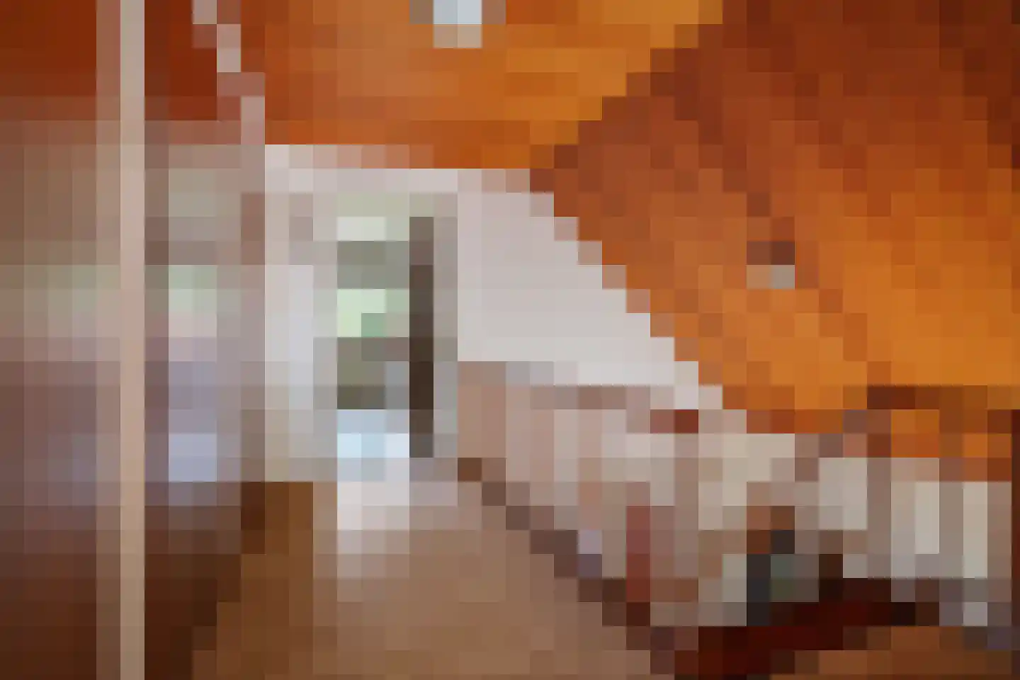 Symfoniestraat 3 Apeldoorn thumbnail 18