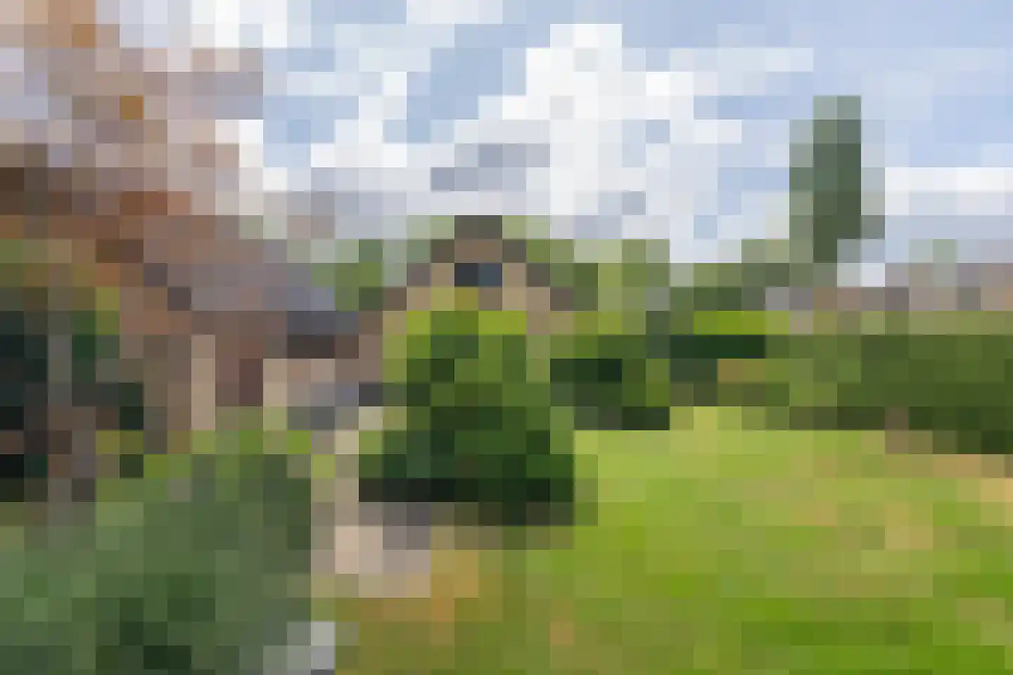 Symfoniestraat 3 Apeldoorn thumbnail 26