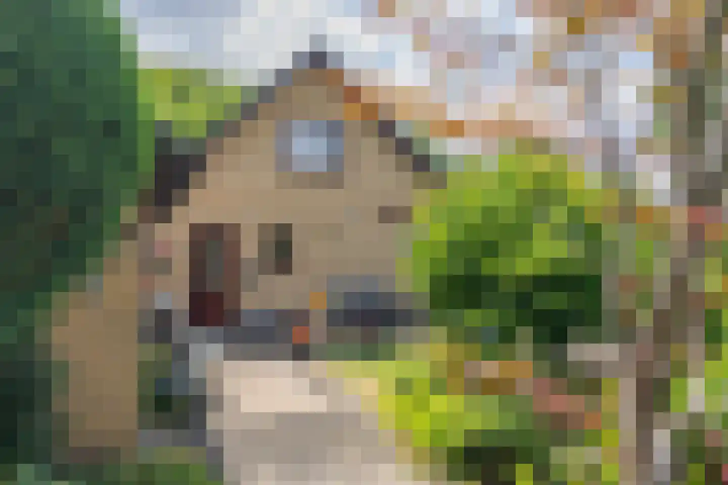 Symfoniestraat 3 Apeldoorn thumbnail 29