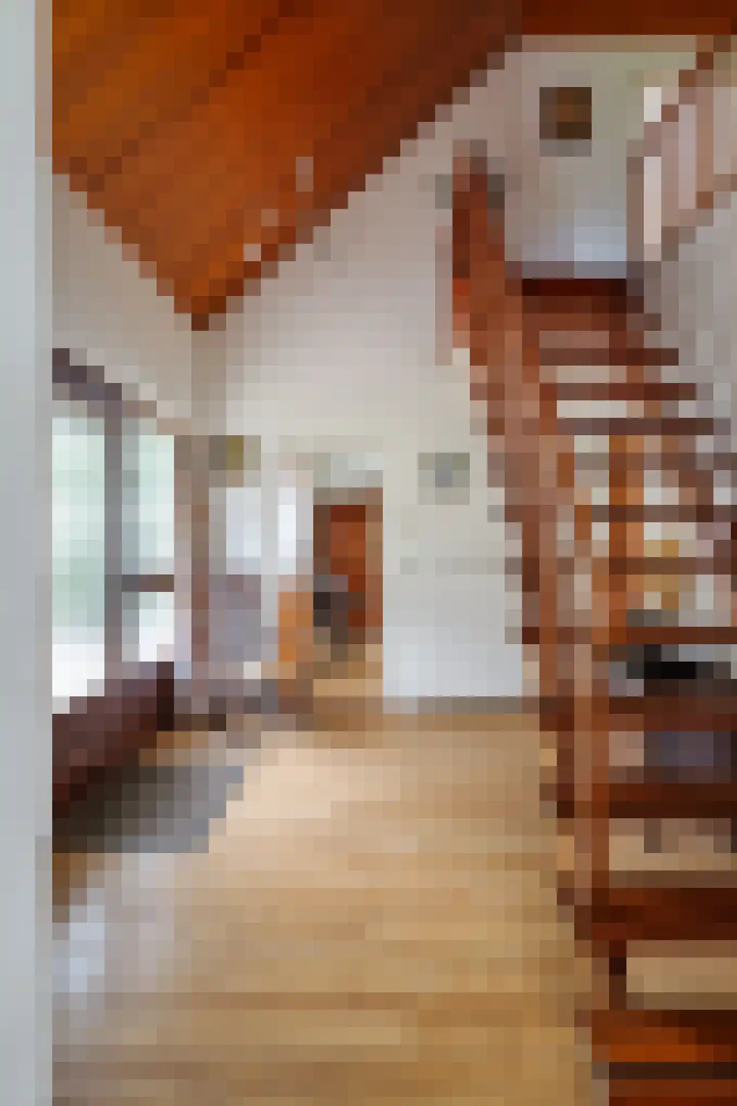 Symfoniestraat 3 Apeldoorn thumbnail 34