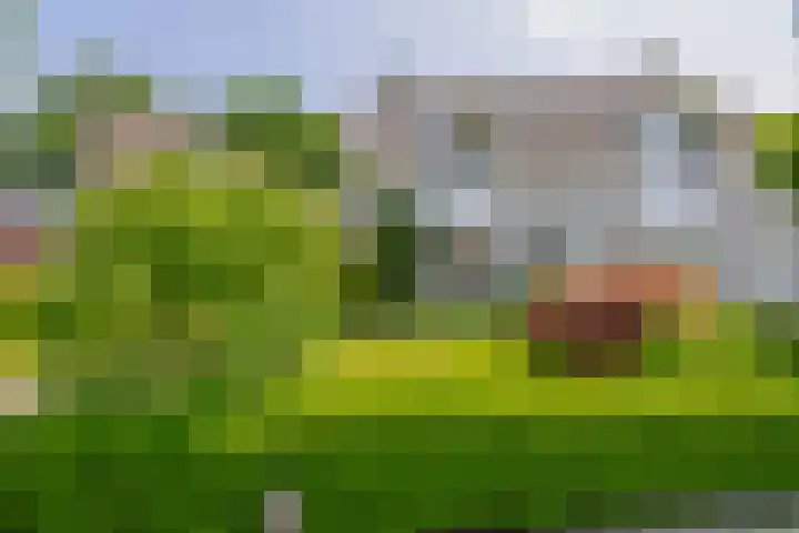 Symfoniestraat 3 Beek en Donk thumbnail 10