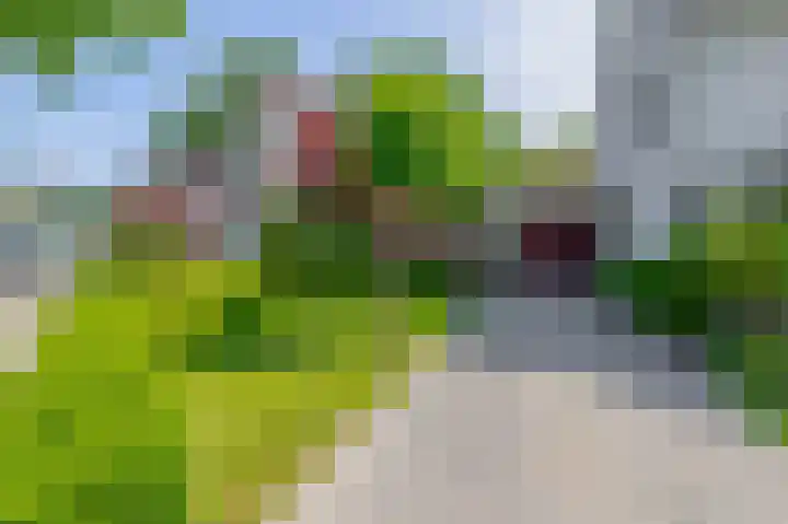 Symfoniestraat 3 Beek en Donk thumbnail 11