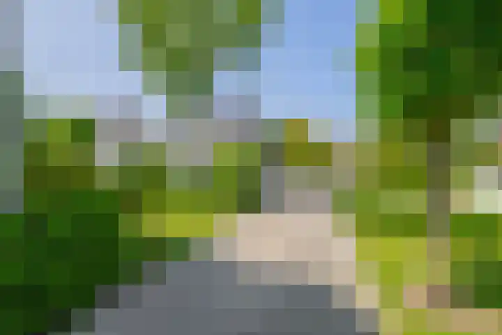 Symfoniestraat 3 Beek en Donk thumbnail 12