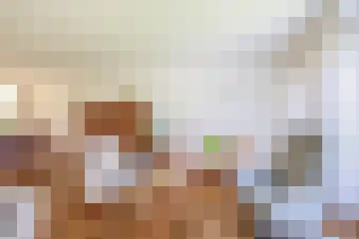 Symfoniestraat 3 Beek en Donk thumbnail 17