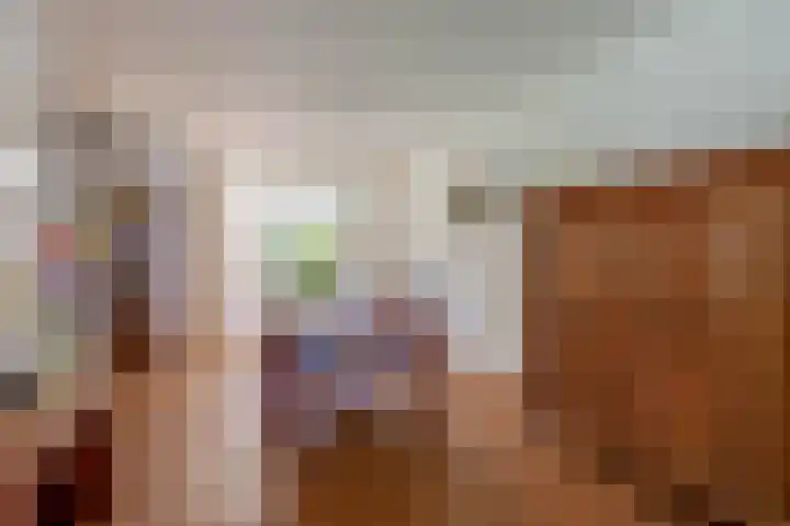 Symfoniestraat 3 Beek en Donk thumbnail 19