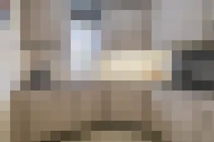Symfoniestraat 3 Beek en Donk thumbnail 24