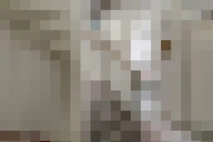 Symfoniestraat 3 Beek en Donk thumbnail 26