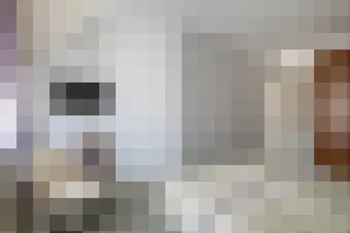 Symfoniestraat 3 Beek en Donk thumbnail 30