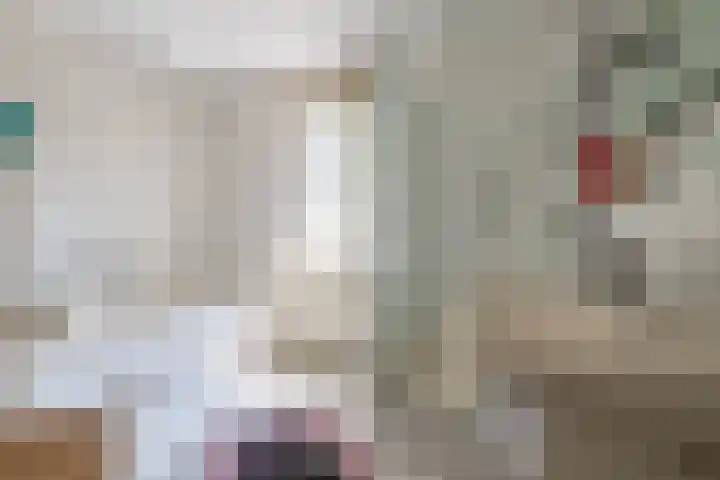 Symfoniestraat 3 Beek en Donk thumbnail 31