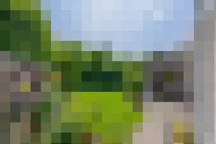 Symfoniestraat 3 Beek en Donk thumbnail 37