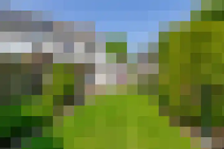 Symfoniestraat 3 Beek en Donk thumbnail 38