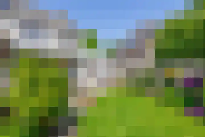 Symfoniestraat 3 Beek en Donk thumbnail 40
