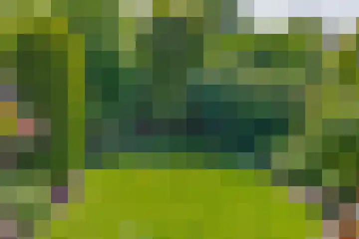 Symfoniestraat 3 Beek en Donk thumbnail 41
