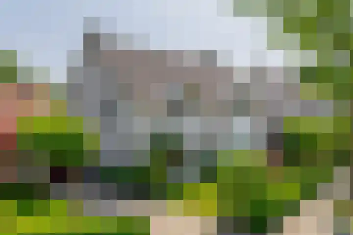 Symfoniestraat 3 Beek en Donk thumbnail 53
