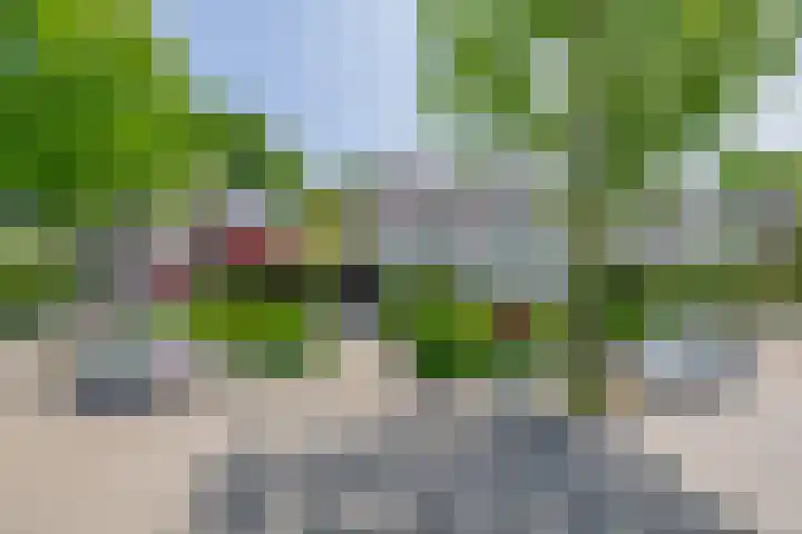 Symfoniestraat 3 Beek en Donk thumbnail 7