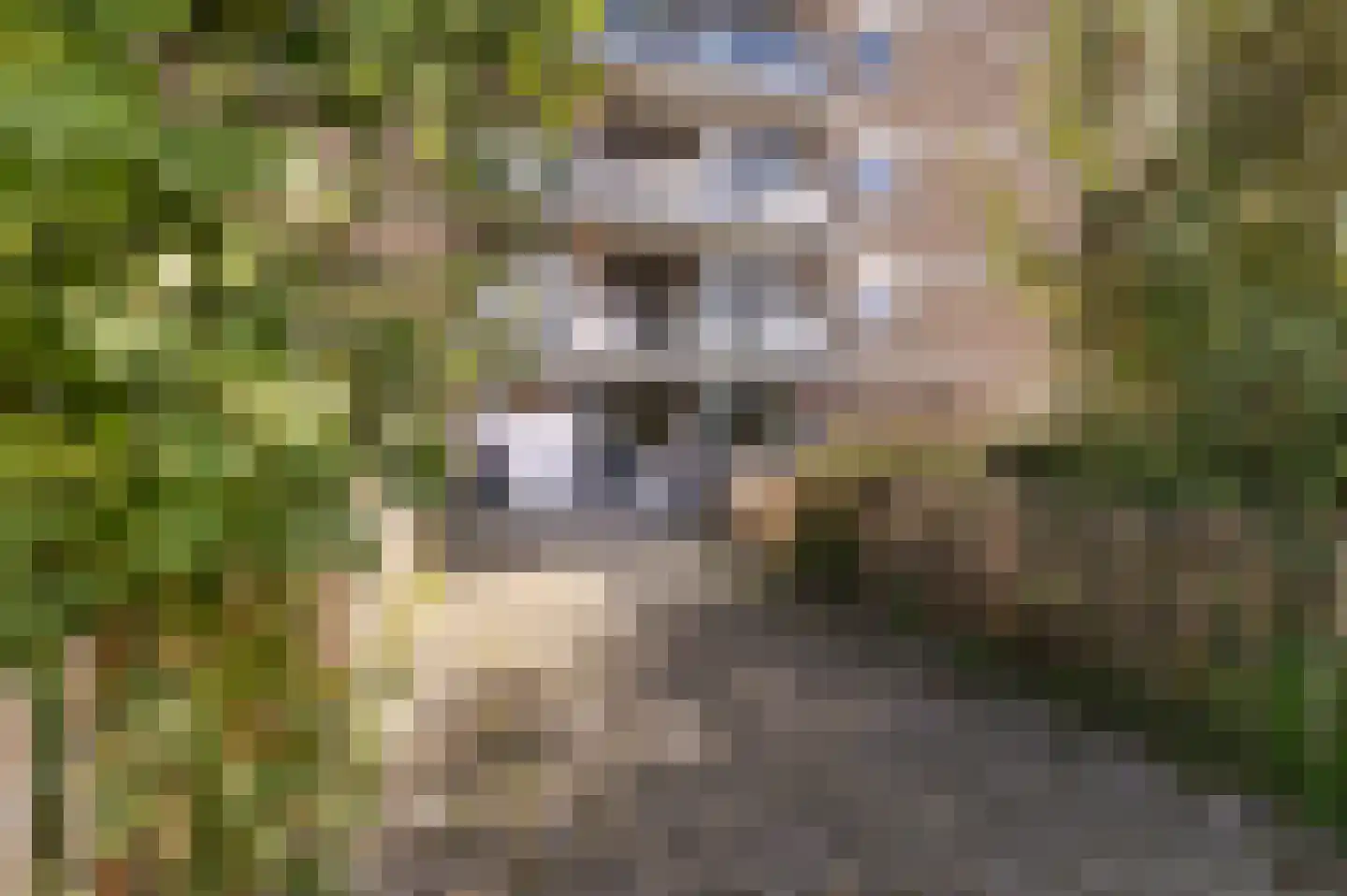 Symfoniestraat 32 Nijmegen thumbnail 22
