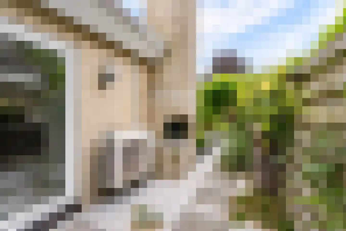 Symfoniestraat 33 Almere thumbnail 35