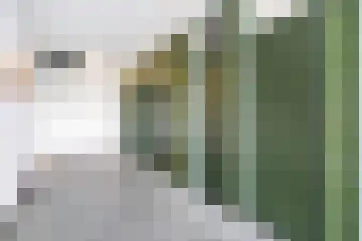 Symfoniestraat 54 Nijmegen thumbnail 31