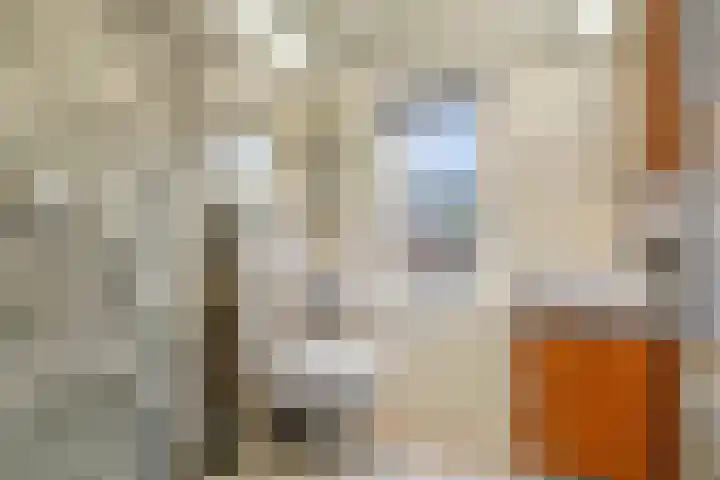 Symon Pelgromstraat 18 's-Hertogenbosch thumbnail 32