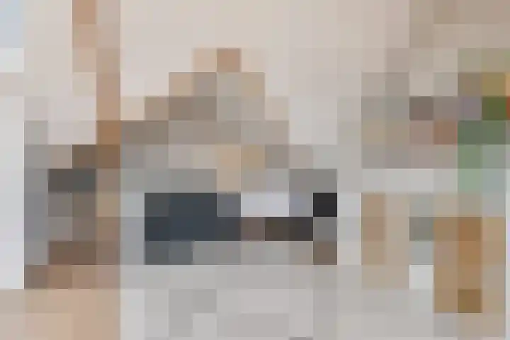 Symon Pelgromstraat 18 's-Hertogenbosch thumbnail 37