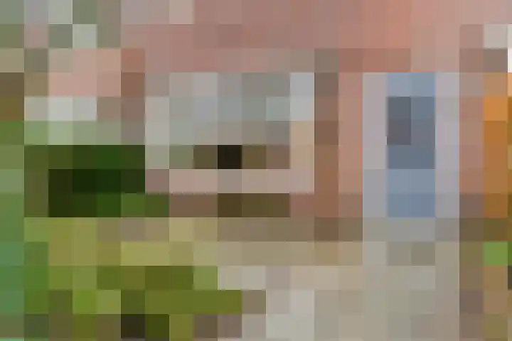 Symon Pelgromstraat 18 's-Hertogenbosch thumbnail 39