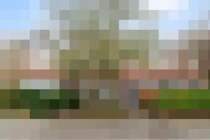 Symon Pelgromstraat 18 's-Hertogenbosch thumbnail 40