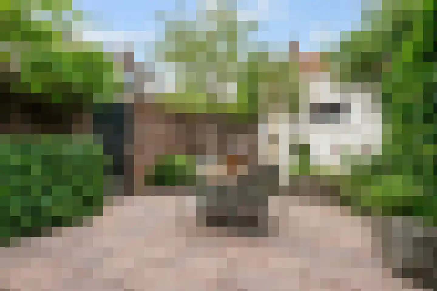 Symon Pelgromstraat 2 D 's-Hertogenbosch thumbnail 18