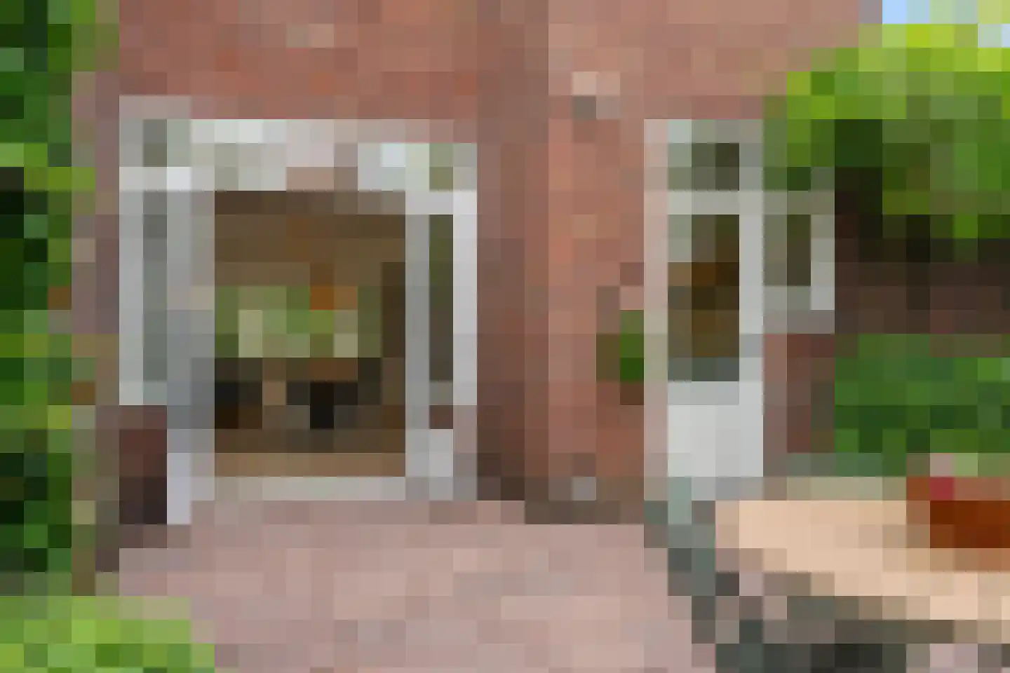 Symon Pelgromstraat 2 D 's-Hertogenbosch thumbnail 19