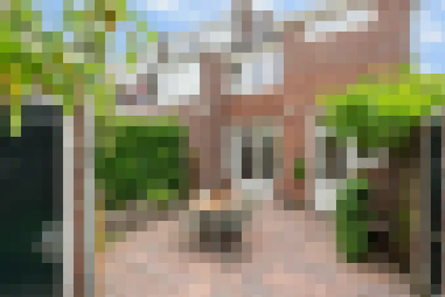 Symon Pelgromstraat 2 D 's-Hertogenbosch thumbnail 21