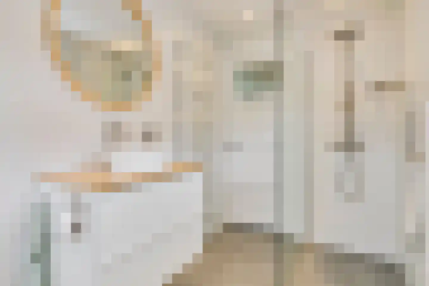Symon Pelgromstraat 2 D 's-Hertogenbosch thumbnail 32