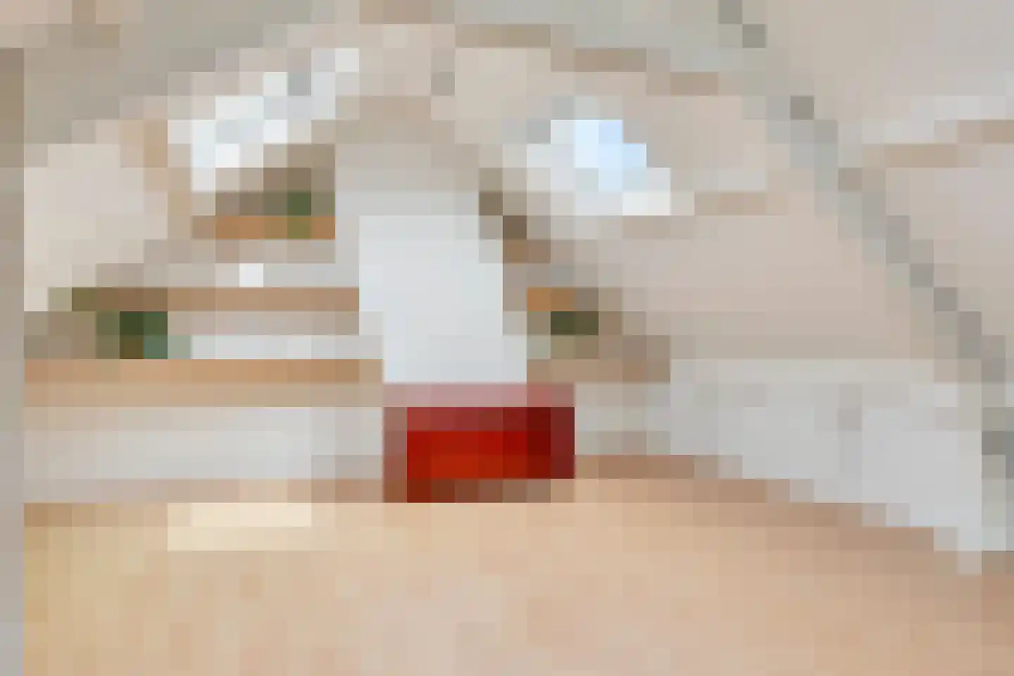 Symon Pelgromstraat 2 D 's-Hertogenbosch thumbnail 36