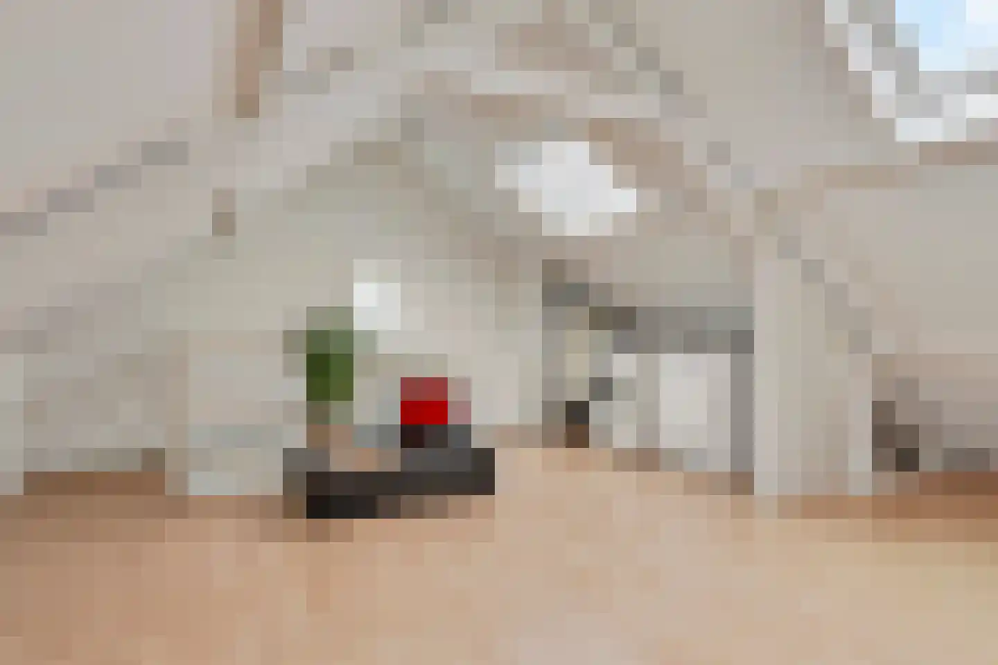 Symon Pelgromstraat 2 D 's-Hertogenbosch thumbnail 37
