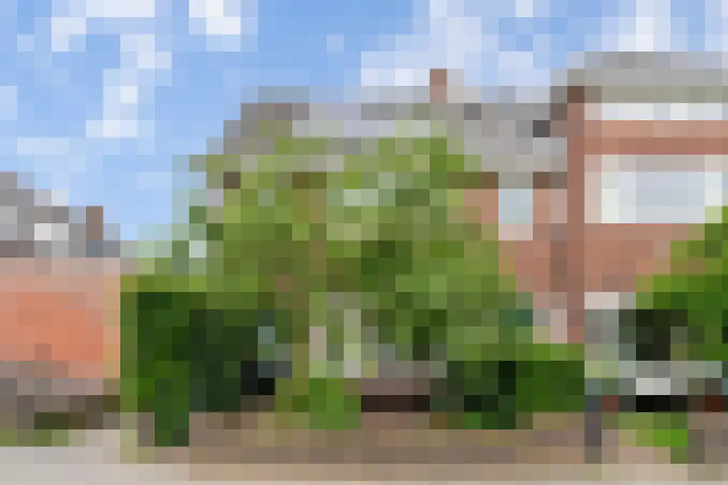 Symon Pelgromstraat 2 D 's-Hertogenbosch thumbnail 40