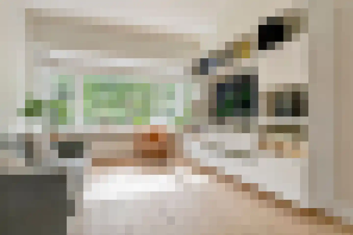 Symon Pelgromstraat 2 D 's-Hertogenbosch thumbnail 8