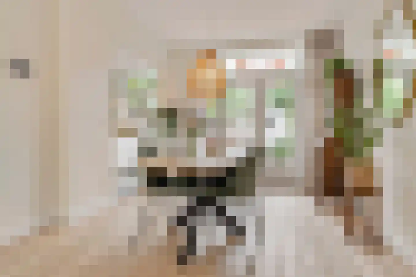 Symon Pelgromstraat 2 D 's-Hertogenbosch thumbnail 9