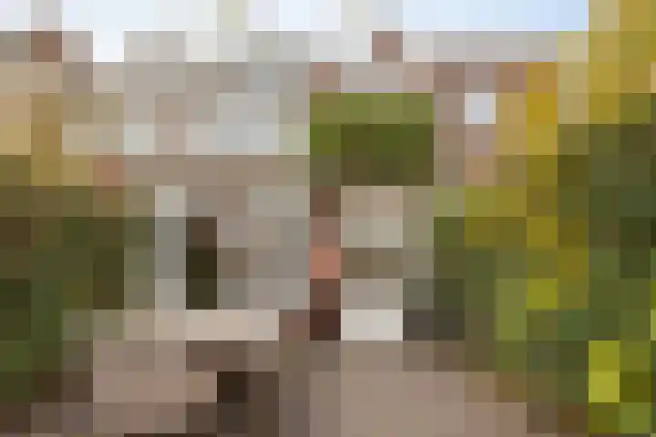 Symon Pelgromstraat 39 's-Hertogenbosch thumbnail 26
