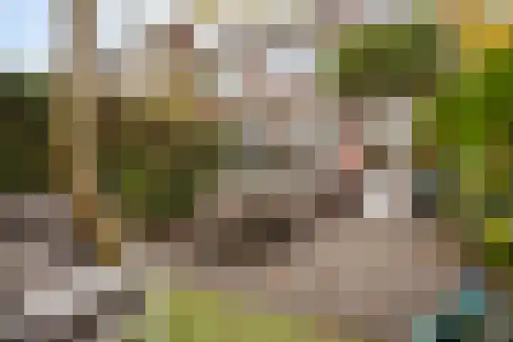 Symon Pelgromstraat 39 's-Hertogenbosch thumbnail 4