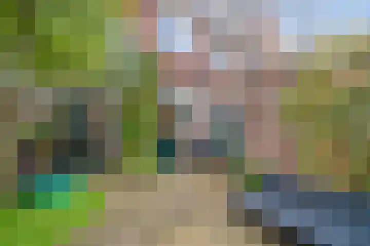Symon Pelgromstraat 45 's-Hertogenbosch thumbnail 20