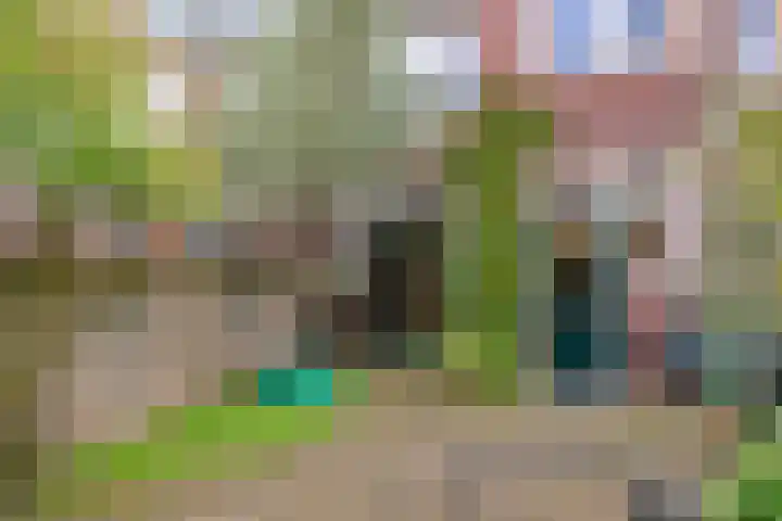 Symon Pelgromstraat 45 's-Hertogenbosch thumbnail 22
