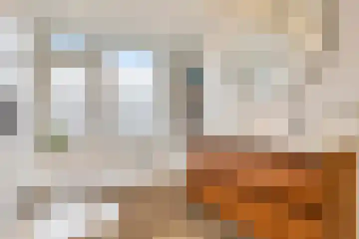 Symon Pelgromstraat 45 's-Hertogenbosch thumbnail 35