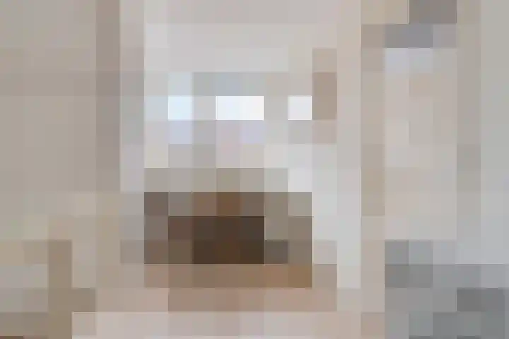 Symon Pelgromstraat 45 's-Hertogenbosch thumbnail 37
