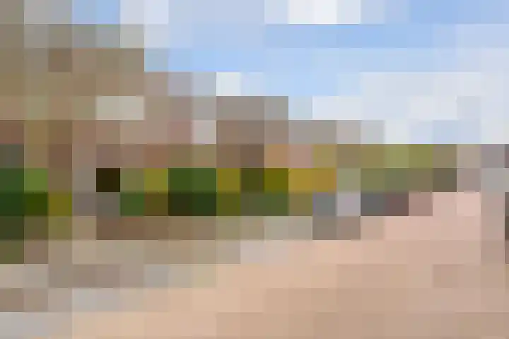 Symon Pelgromstraat 45 's-Hertogenbosch thumbnail 44