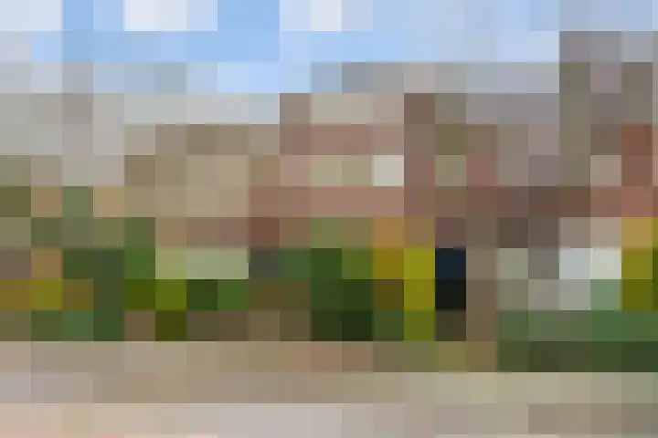 Symon Pelgromstraat 45 's-Hertogenbosch thumbnail 45