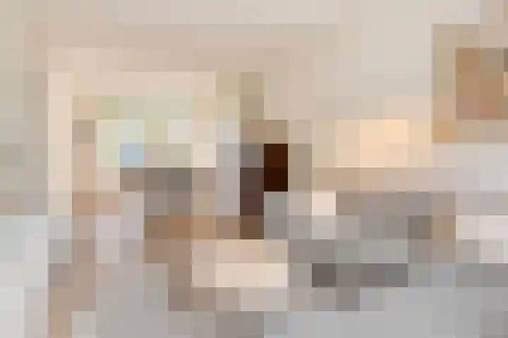 Symon Pelgromstraat 45 's-Hertogenbosch thumbnail 5