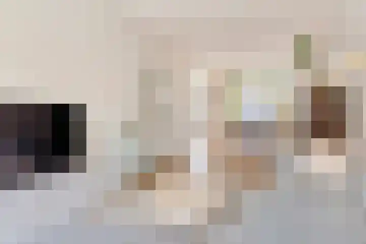 Symon Pelgromstraat 45 's-Hertogenbosch thumbnail 7