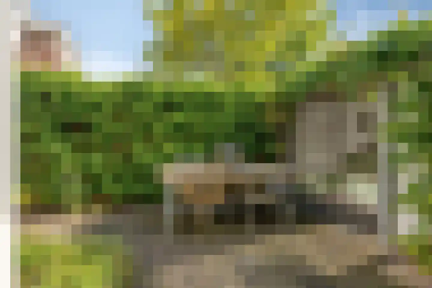 Symon Pelgromstraat 5 's-Hertogenbosch thumbnail 30