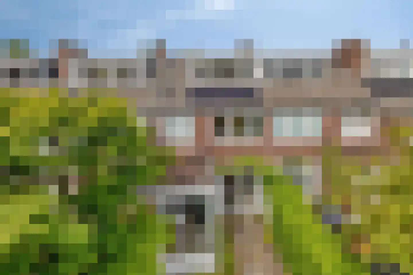 Symon Pelgromstraat 5 's-Hertogenbosch thumbnail 34